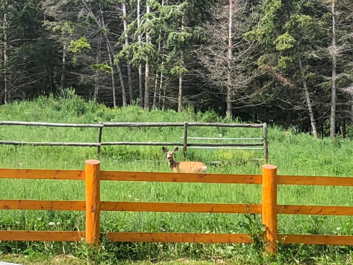 Beaver Guest Ranch Bridge Lake Exterior foto